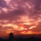 東寺の夕景-s