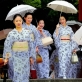 芸舞妓のゆかた祭り-s