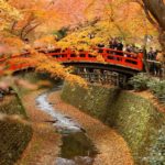 北野天満宮の紅葉１