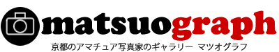 マツオグラフ