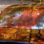 今熊野観音にて