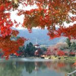 紅葉の大沢の池