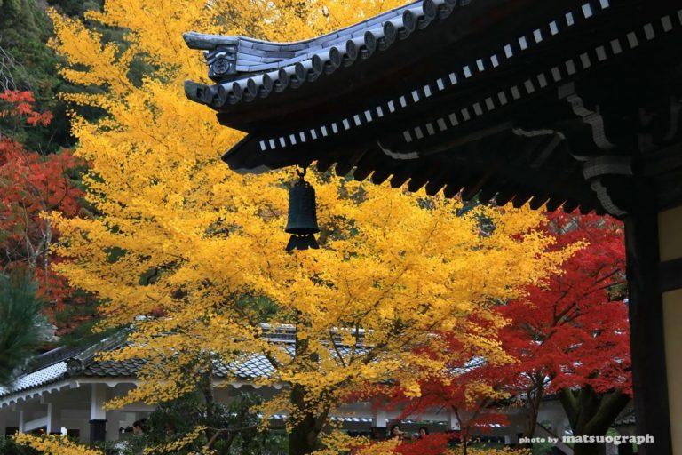 %e5%8d%97%e7%a6%85%e5%af%ba%e3%81%ae%e7%a7%8b-s