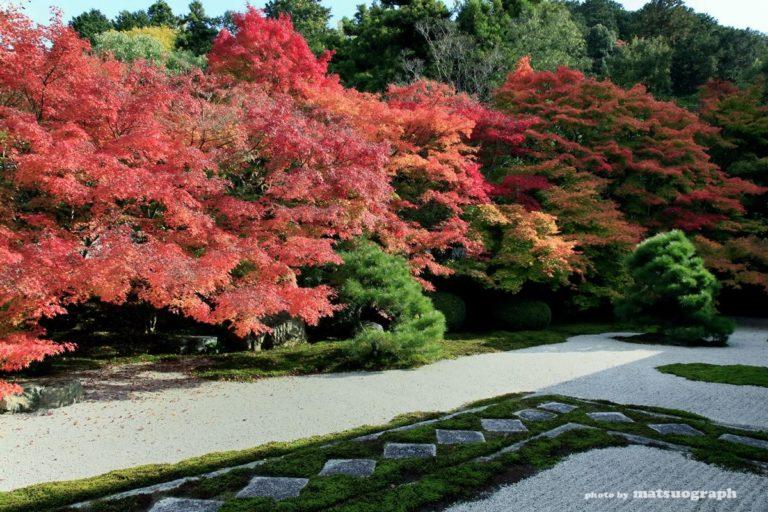 %e5%8d%97%e7%a6%85%e5%af%ba%e5%a4%a9%e6%8e%88%e5%ba%b5-s