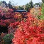 東福寺・臥雲橋を望む