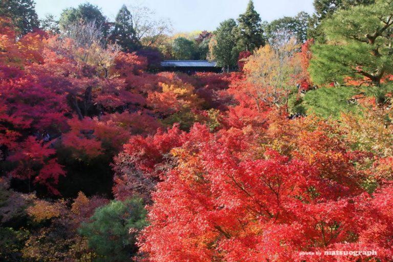 %e6%9d%b1%e7%a6%8f%e5%af%ba%e9%80%9a%e5%a4%a9%e6%a9%8b-s