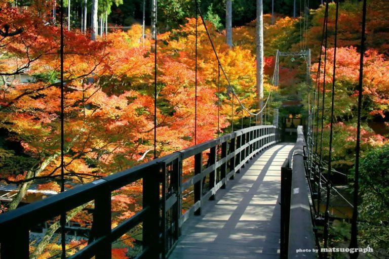 洛北高雄の紅葉