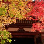 醍醐寺の紅葉